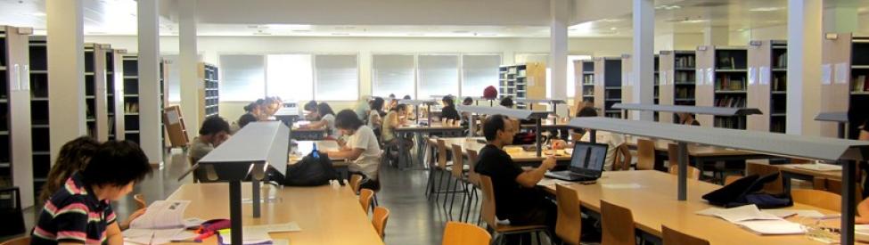 Bibliotecarias